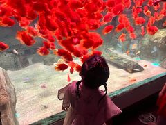 -常州海昌海洋探索馆
