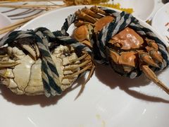 -北京海德酒店温泉