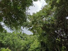-南诏风情岛