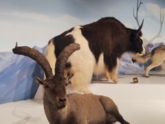 -陕西自然博物馆