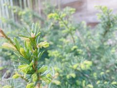 -渔掌门(铁东店)