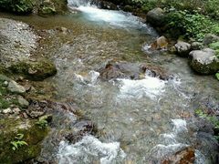 -西岭雪山大飞水景区