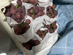 -马陆小张葡萄园农家乐