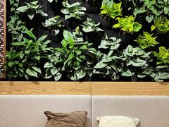 -Peet's Coffee皮爷咖啡(德基店)