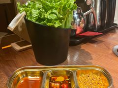-九田家黑牛烤肉料理(新辰里亚运村店)