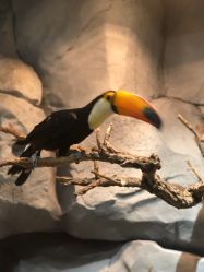 点击看大图 -Zoolung Zoolung动物主题公园(海信广场店)