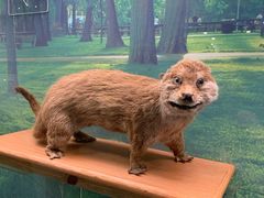 -下渚湖国家湿地公园科普馆