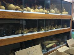 -宝鸡东道花鸟鱼虫市场(吉利花园商场店)