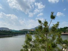 -五龙山野生动物王国