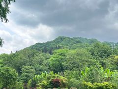 -青城山