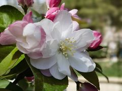 -元大都城垣遗址公园