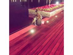 -桃花岛公园