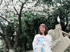 -武汉大学-樱园