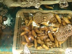 -蓝珊甄选海鲜自助·火锅大排档(近阿那亚店)