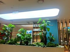 -悦海·家宴·冰花皮皮虾大锅贴(宝龙店)