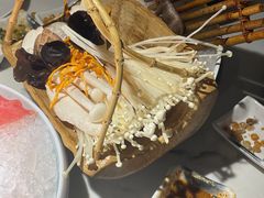 金针菇-无界釜·河豚鱼汤锅(红山动物园店)