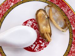 -北戴河庆山饭店·海鲜砂锅粥(北戴河黑石路店)