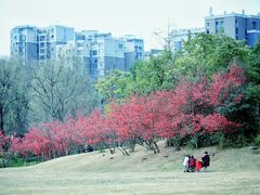 -沙河三洞古桥公园