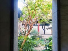 -秋霞圃