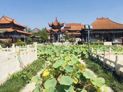 -大悲禅寺
