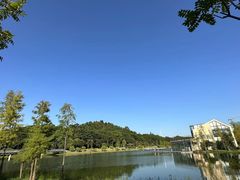 -东莞植物园