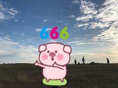 -草原天路(张北县)
