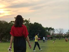 -万绿园