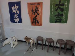 -共舞时光猫咖·狗咖(新街口店)