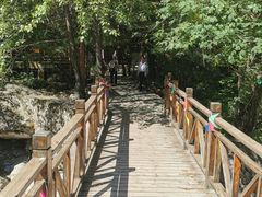 -青峰峡国家森林公园