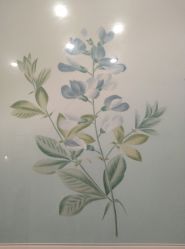 -颜蕾医美·黄金微针·水光·玻尿酸·超声炮·抗衰中心