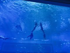 -南昌融创海世界