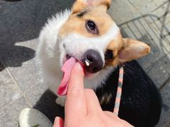 -私人做法(苹果社区店)