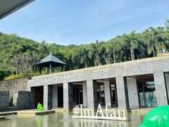 -日落吧·海景咖啡厅·餐酒吧·鸡尾酒·下午茶·乐队表演·浪漫夕阳·三亚文华东方酒店