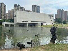-洋湖国家湿地公园