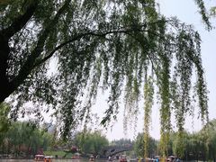 -清凉山国家森林公园