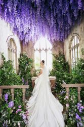 -帆拉斐婚纱摄影(春熙店)