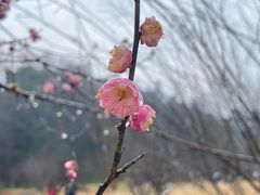 -常德桃花源景区