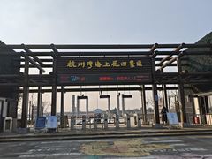 -杭州湾海上花田景区