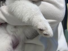 -怪兽屋·羊驼·猫咖·狗咖(俊华广场店)