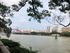 -珠江夜游省总码头