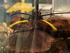 -肥仔文澳门猪骨煲(南京西路店)