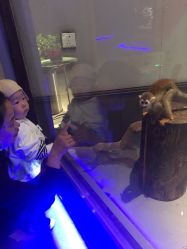 -未来动物城动物主题公园(大悦城店)
