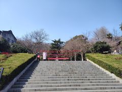 -伯先公园