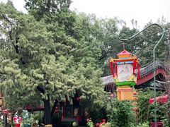 -白家大院·王府宫廷菜(苏州街店)