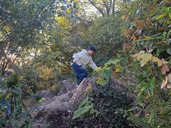 -杭州半山国家森林公园