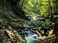 -本溪汤沟绿石谷森林公园