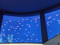 -沈阳海洋探索中心