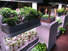 -闻见中国海南菜(K11店)