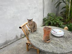 -吴祥记潮州菜·百年老字号·砂锅粥