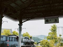 -奔跑吧乐园
